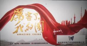 為黨喝彩，為國點贊——公司黨委組織黨員群眾觀看《厲害了，我的國》